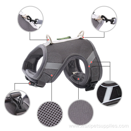 Metal Custom Dog pet luxury harness
